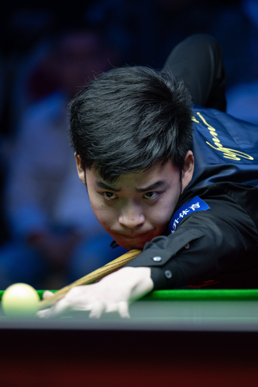 更多悬念 更多悬念